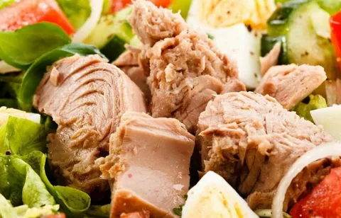 قیمت خرید تن ماهی فلفلی + فروش ویژه